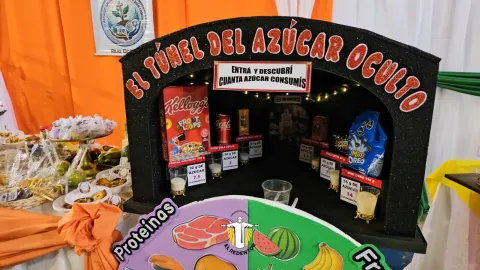 Feria Pdg 26 3C Nm